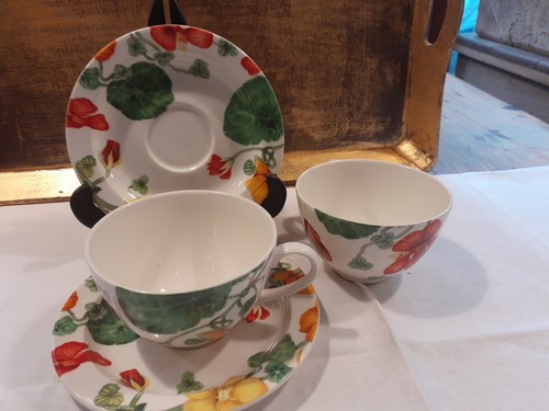 Poole pottery bryony - poole,