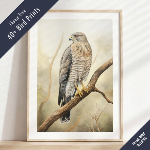 Wild bird print british - print, –