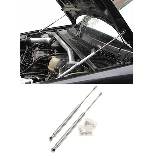 Bonnet struts for golf mk3 - bonnet,
