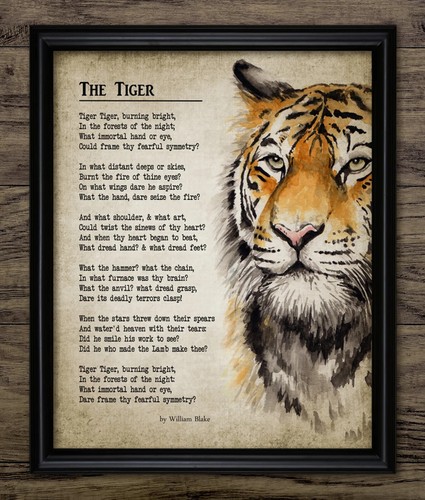 The tiger poem - print,, william
