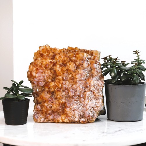 Citrine geode cluster - geode, crystal