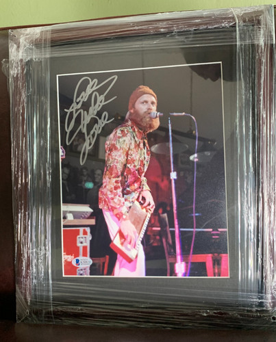 Mike love beach boys - boys, signed