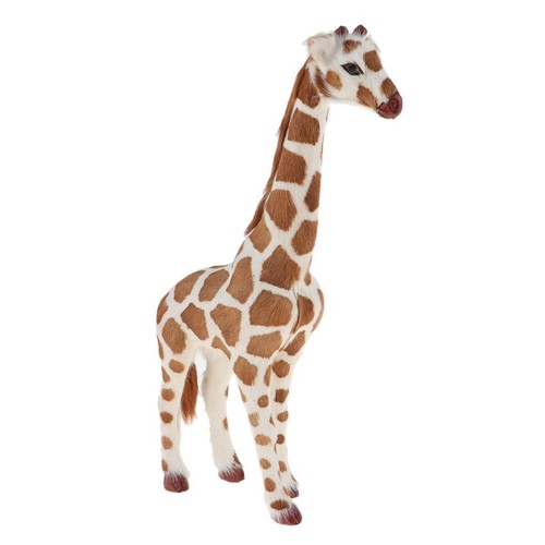Towering herds giraffes - of,