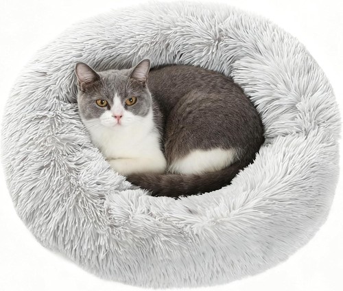 Dog bed cat - dog,