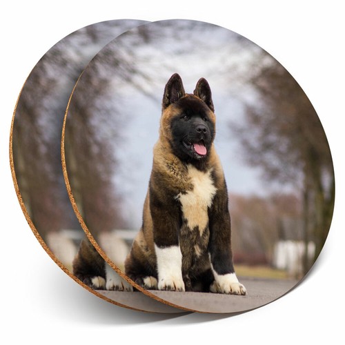 Coasters large american - 2,