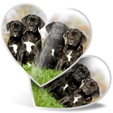 Vertical vinyl sticker cane - 2x,