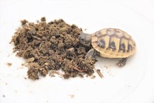 Agrobs PRE ALPIN® TESTUDO Original Tortoise Food  1kg FREE DELIVERY