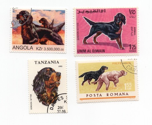 Gordon setter collection - collection, of