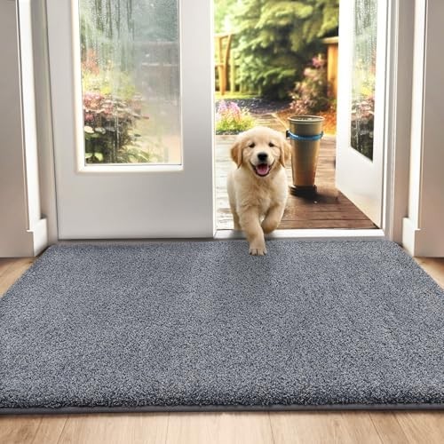 Dexi dirt trapper - door, mat