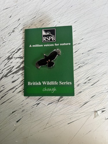 Rspb chough rarer flying - rspb,