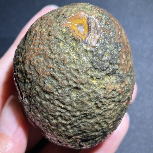 Rare natural warring - warring, states
