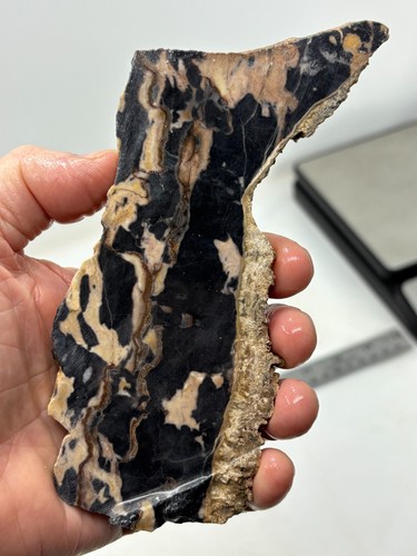 Roan leopard marble rough - roan,
