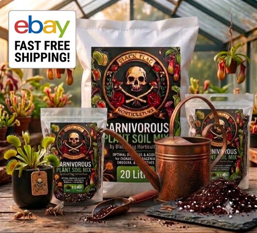 Carnivorous plant soil - plant,
