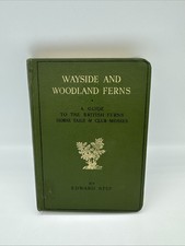 Wayside And Woodland Ferns - A