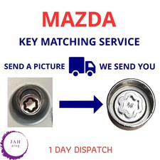 MASTER SECURITY LOCKING WHEEL