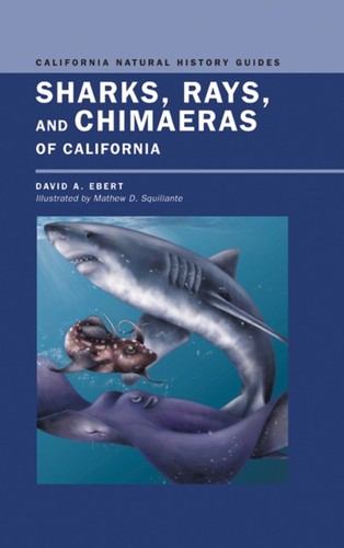 Sharks rays and chimaeras - sharks,, of