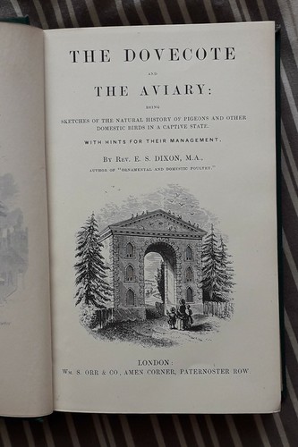 The dovecote and aviary - dovecote,