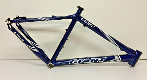 Giant iguana fluidform - giant,