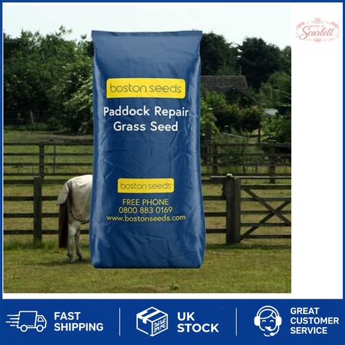Effective paddock repair grass - effective,