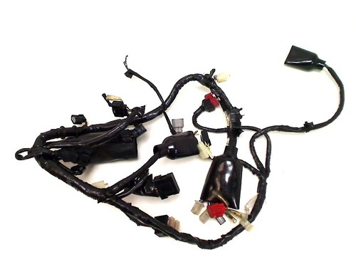 Main wiring harness honda - main,