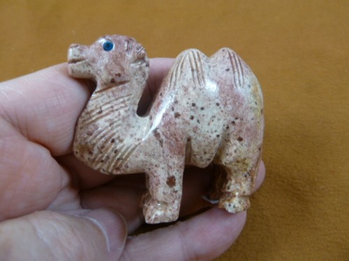 Red camel - red,