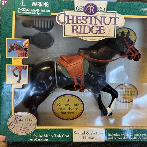 Chestnut ridge trophy - ridge,