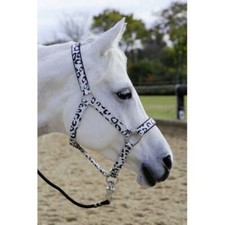 Horse Headcollar Noseband