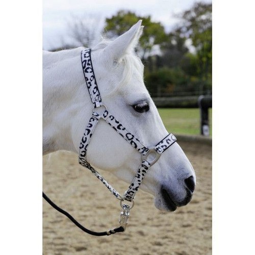 Horse headcollar noseband - horse,