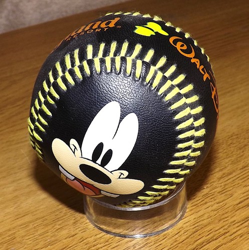 Walt disney world resort - walt,