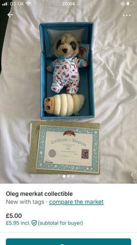 Compare the meerkat baby - the,