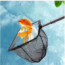 Pond Net Catch Fish & Debris