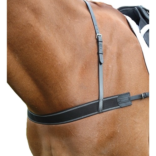 Blenheim leather horse elastic - horse,