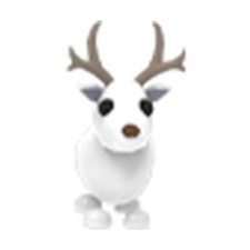 Arctic reindeer fast - reindeer,
