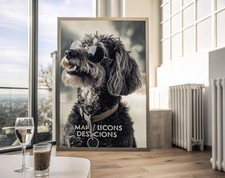 Trendy Chocolate Poodle