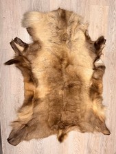 Real Scandinavian Reindeer