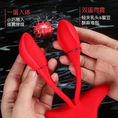App control dual vibrator - app,