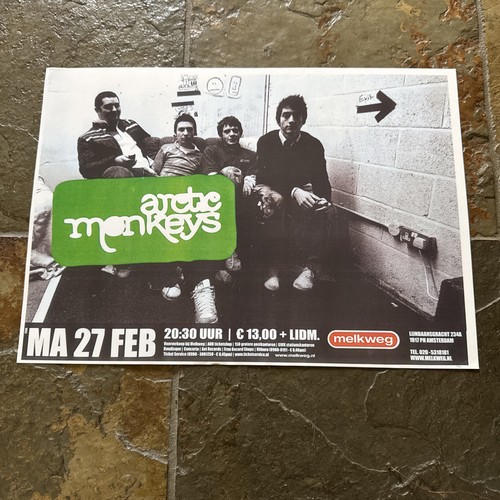 Arctic monkeys concert gig - monkeys,