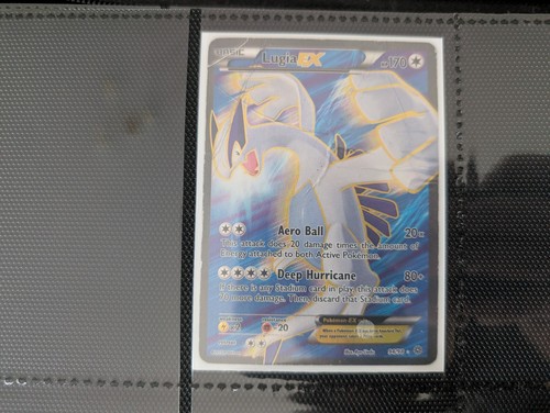 Near complete xy roaring - near,