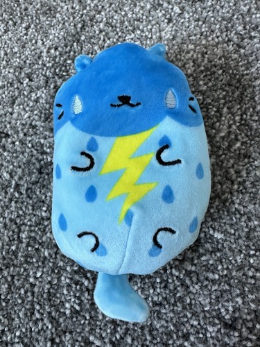 Cats pickles stormy kitty - cats,