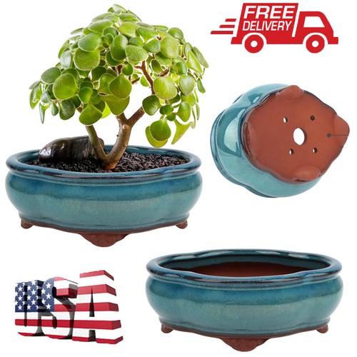 Ceramic small oval glazed - ceramic,