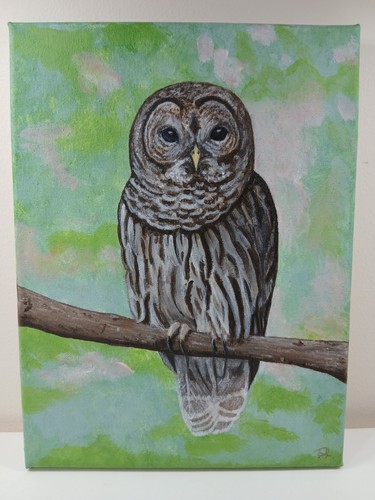 Owl acrylic painting - on, canvas