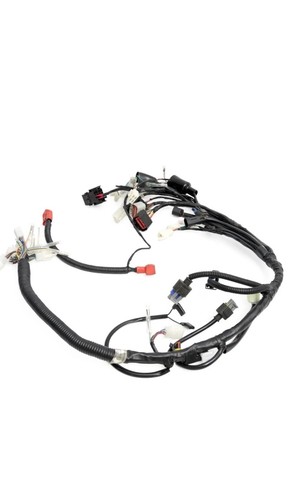 Mutt mongrel 125 eu5 - mutt,