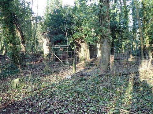Photo 12x8 ruin - ruin, the