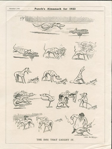 Greyhound racing comic - racing, dog