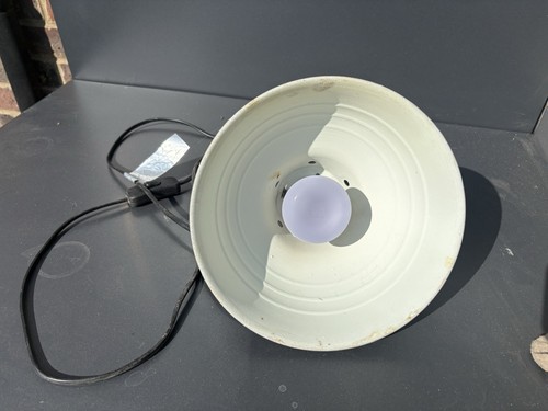 Exo terra glow light - terra,