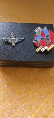 Vintage enamel badges - 2, x
