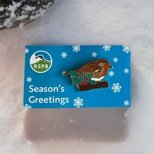 RSPB- Pin Badge  Seasons