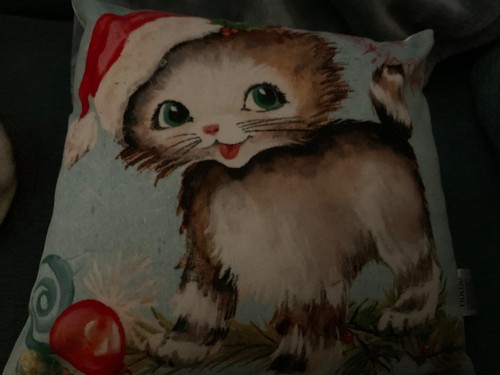 Cat cushion