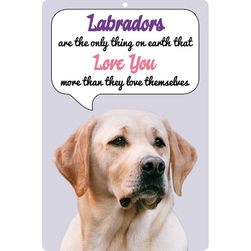 Yellow labrador dog sign - yellow,