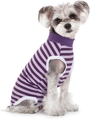 Dog recovery suit - dog,